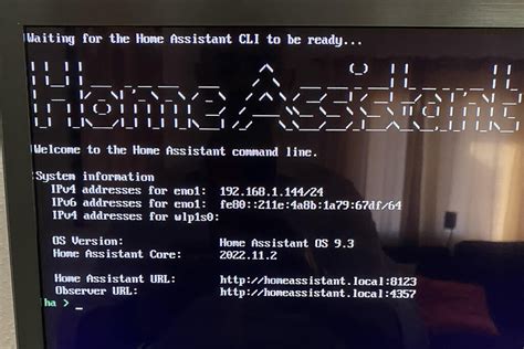home assistant nederlands|homeassistant local.